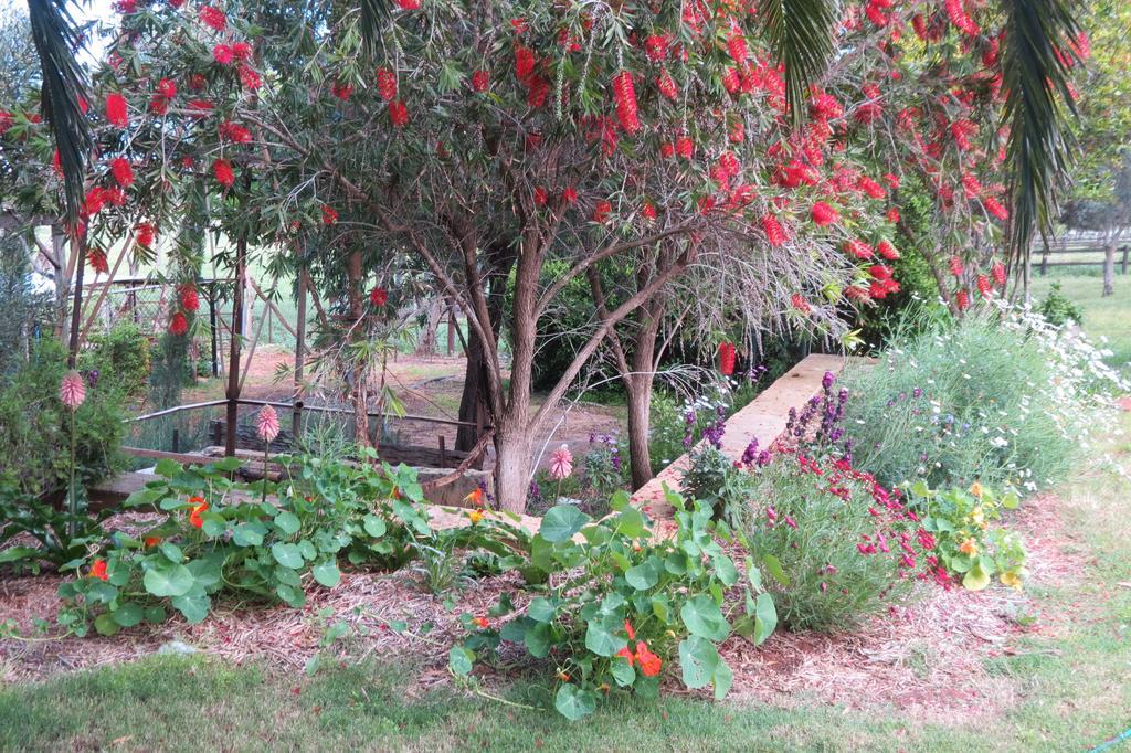 Bentwood Olive Grove Accommodation Greenough 객실 사진
